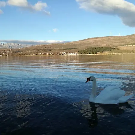 Luxury Lavande شقة Pridraga