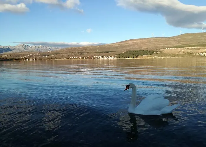 Luxury Lavande Apartament Pridraga