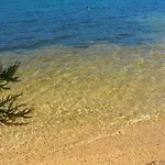Luxury Lavande